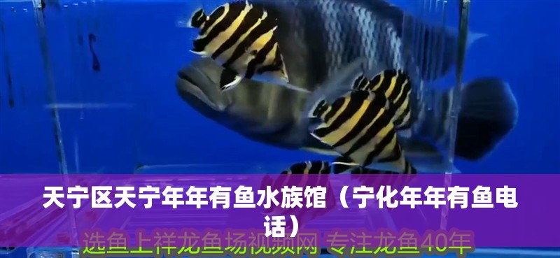 天寧區(qū)天寧年年有魚水族館（寧化年年有魚電話） 天寧區(qū)天寧年年有魚水族館（寧化年年有魚電話） 全國(guó)水族館企業(yè)名錄 第2張