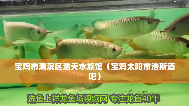 寶雞市渭濱區(qū)浩天水族館（寶雞太陽市浩斯酒吧） 寶雞市渭濱區(qū)浩天水族館（寶雞太陽市浩斯酒吧） 全國水族館企業(yè)名錄 第2張