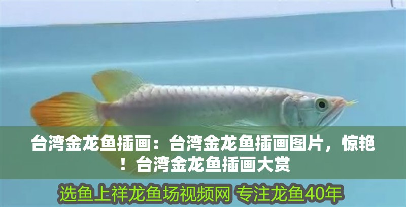 臺(tái)灣金龍魚插畫：臺(tái)灣金龍魚插畫圖片，驚艷！臺(tái)灣金龍魚插畫大賞