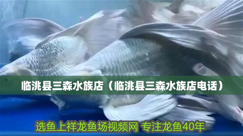 臨洮縣三森水族店（臨洮縣三森水族店電話）