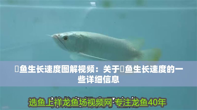 魟魚生長速度圖解視頻：關于魟魚生長速度的一些詳細信息 魟魚生長速度圖解視頻：關于魟魚生長速度的一些詳細信息 魟魚百科 第2張
