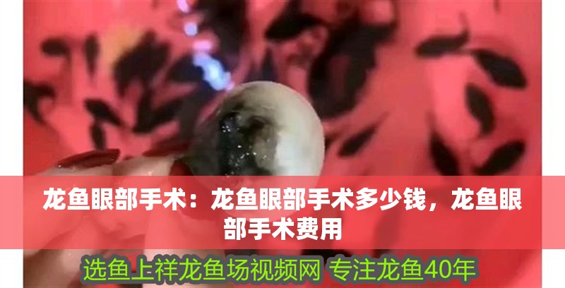 龍魚眼部手術：龍魚眼部手術多少錢，龍魚眼部手術費用