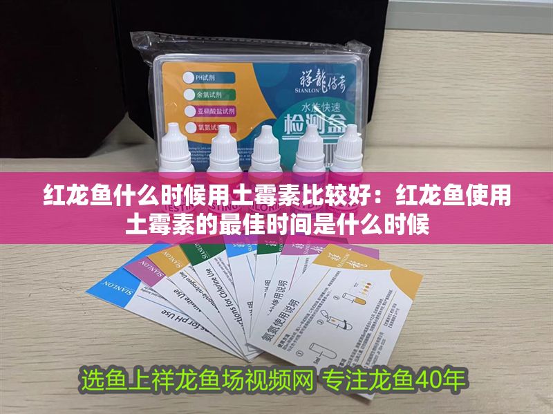 紅龍魚什么時候用土霉素比較好：紅龍魚使用土霉素的最佳時間是什么時候