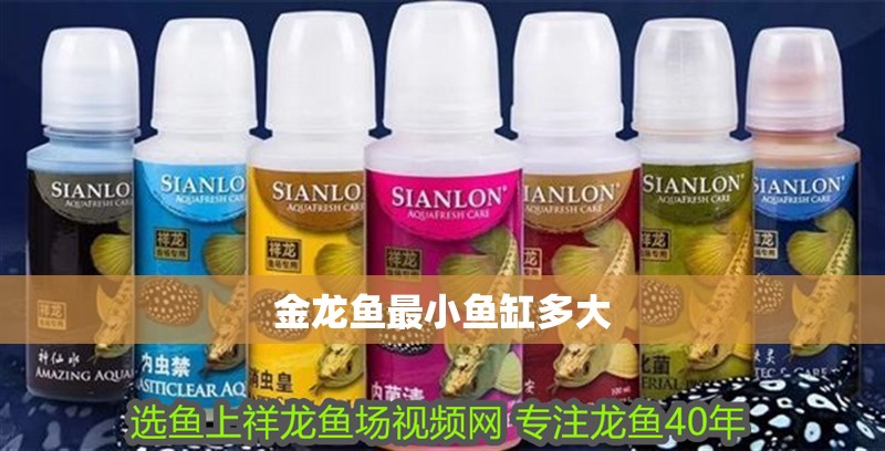 金龍魚最小魚缸多大 金龍魚最小魚缸多大 龍魚百科 第3張