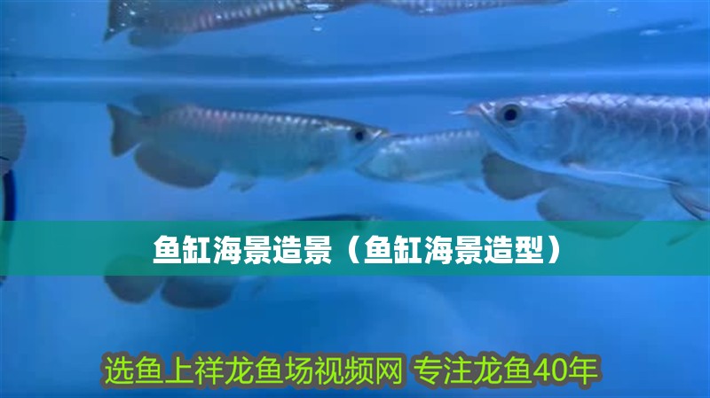 魚(yú)缸海景造景（魚(yú)缸海景造型）