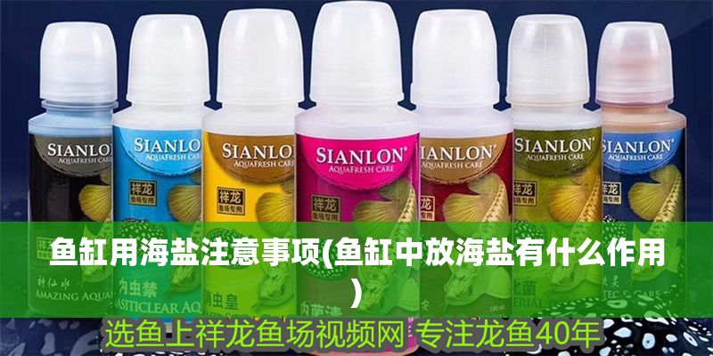 魚缸用海鹽注意事項(xiàng)(魚缸中放海鹽有什么作用)