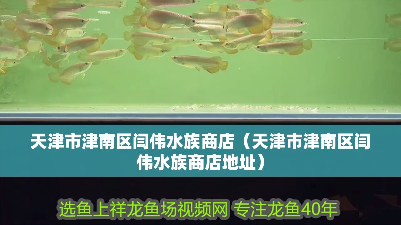 天津市津南區閆偉水族商店（天津市津南區閆偉水族商店地址）