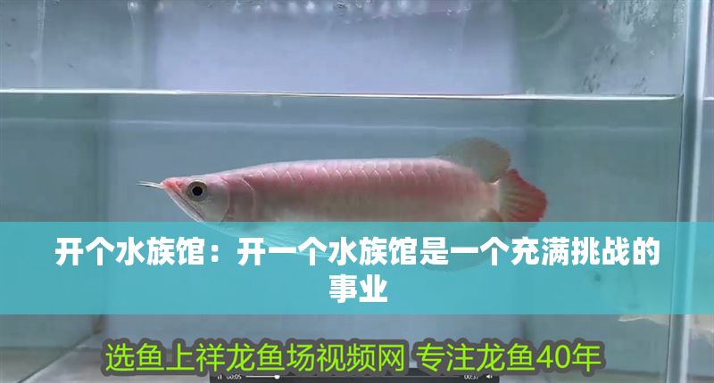 開個水族館：開一個水族館是一個充滿挑戰的事業
