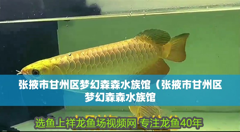 張掖市甘州區夢幻森森水族館（張掖市甘州區夢幻森森水族館