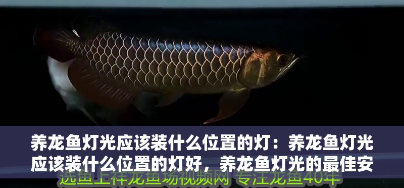養龍魚燈光應該裝什么位置的燈：養龍魚燈光應該裝什么位置的燈好，養龍魚燈光的最佳安裝位置解析