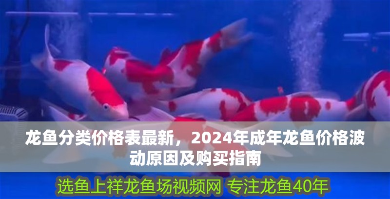 龍魚分類價格表最新，2024年成年龍魚價格波動原因及購買指南