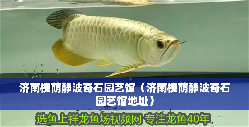 濟南槐蔭靜波奇石園藝館（濟南槐蔭靜波奇石園藝館地址）