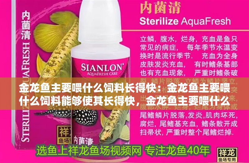 金龍魚主要喂什么飼料長(zhǎng)得快：金龍魚主要喂什么飼料能夠使其長(zhǎng)得快，金龍魚主要喂什么飼料長(zhǎng)得快