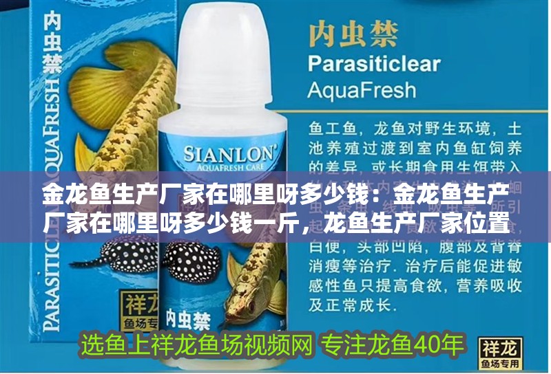 金龍魚生產廠家在哪里呀多少錢：金龍魚生產廠家在哪里呀多少錢一斤，龍魚生產廠家位置及