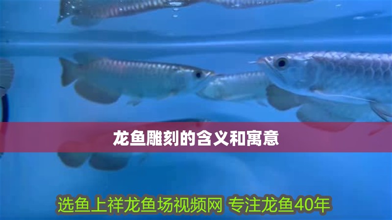 龍魚雕刻的含義和寓意