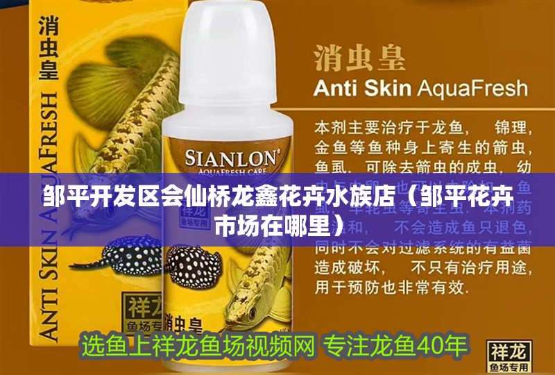 鄒平開發(fā)區(qū)會仙橋龍鑫花卉水族店（鄒平花卉市場在哪里）