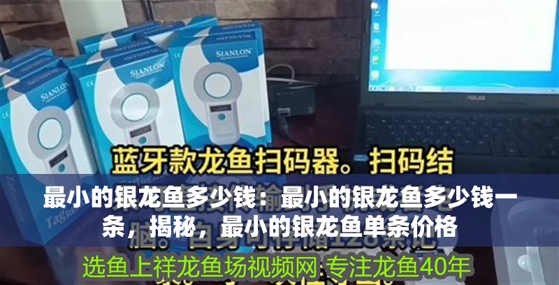 最小的銀龍魚多少錢：最小的銀龍魚多少錢一條，揭秘，最小的銀龍魚單條價格 最小的銀龍魚多少錢：最小的銀龍魚多少錢一條，揭秘，最小的銀龍魚單條價格 水族問答