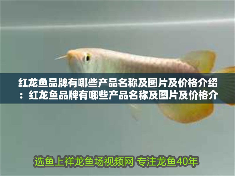 紅龍魚品牌有哪些產品名稱及圖片及價格介紹：紅龍魚品牌有哪些產品名稱及圖片及價格介紹，紅龍魚品牌全系產品詳解，名稱、圖片與價格