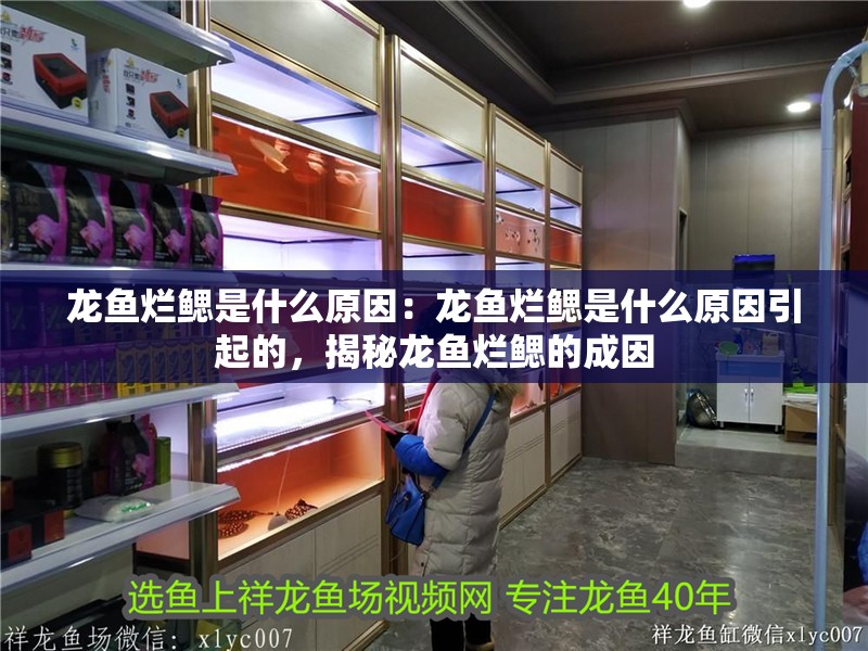 龍魚爛鰓是什么原因：龍魚爛鰓是什么原因引起的，揭秘龍魚爛鰓的成因