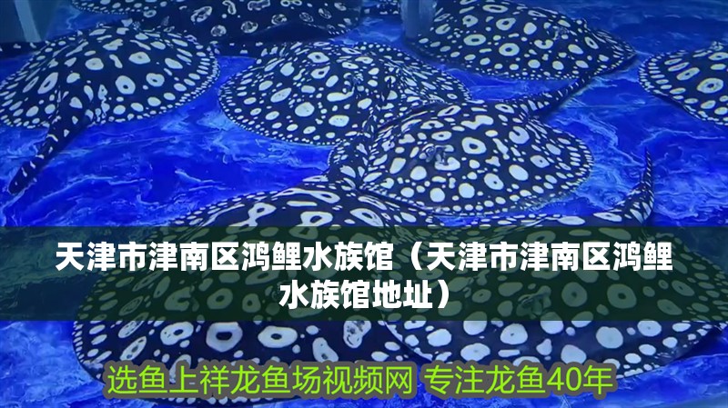 天津市津南區鴻鯉水族館(天津市津南區鴻鯉水族館地址) 全國水族館企業名錄 第2張 天津市津南區鴻鯉水族館(天津市津南區鴻鯉水族館地址) 天津市津南區鴻鯉水族館(天津市津南區鴻鯉水族館地址) 全國水族館企業名錄 第2張