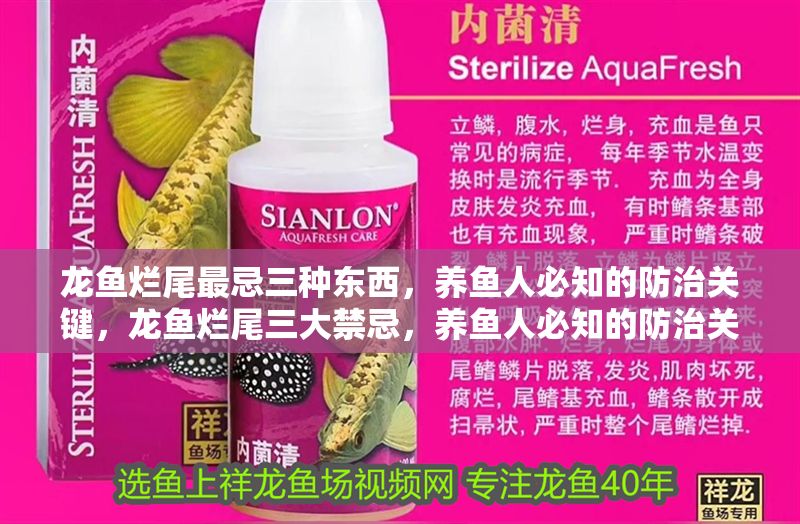 金龍魚繁殖箱內植物選擇技巧：金龍魚繁殖箱內植物的健康和繁殖效果，以下植物選擇技巧