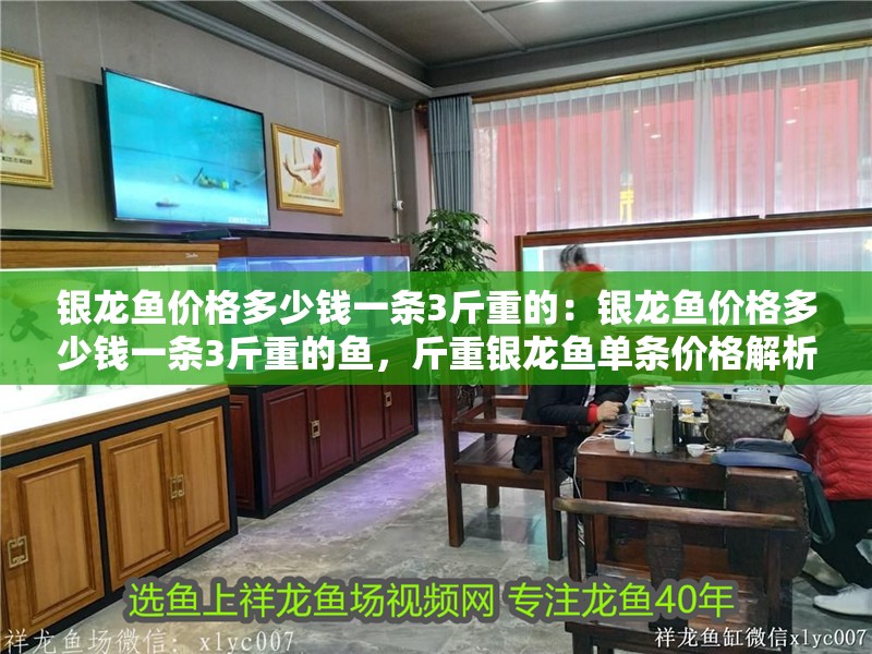 銀龍魚價格多少錢一條3斤重的：銀龍魚價格多少錢一條3斤重的魚，斤重銀龍魚單條價格解析 銀龍魚價格多少錢一條3斤重的：銀龍魚價格多少錢一條3斤重的魚，斤重銀龍魚單條價格解析 水族問答