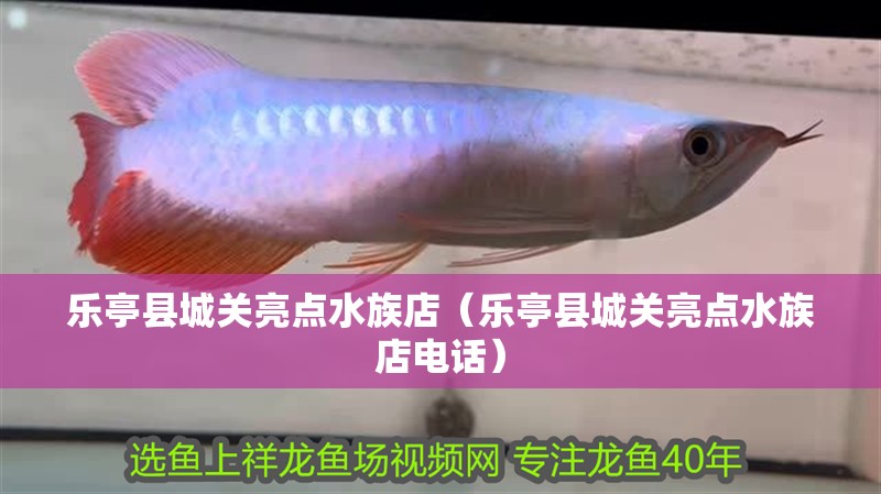 樂亭縣城關亮點水族店（樂亭縣城關亮點水族店電話）