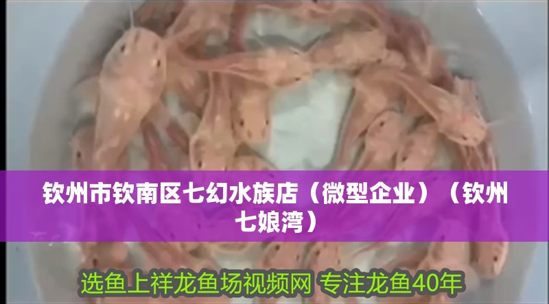 欽州市欽南區(qū)七幻水族店（微型企業(yè)）（欽州七娘灣）