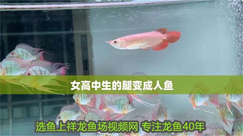 女高中生的腿變成人魚