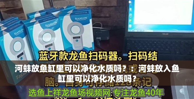 河蚌放魚缸里可以凈化水質(zhì)嗎？：河蚌放入魚缸里可以凈化水質(zhì)嗎？
