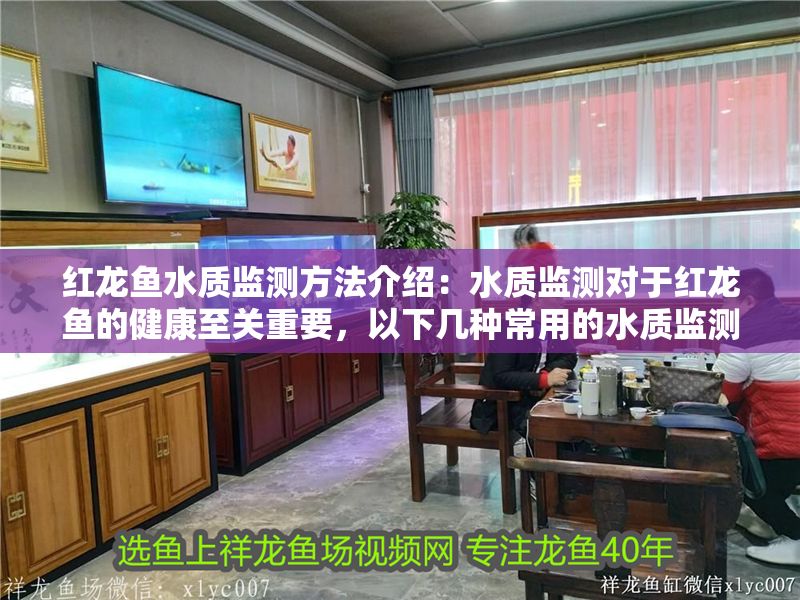 紅龍魚(yú)水質(zhì)監(jiān)測(cè)方法介紹：水質(zhì)監(jiān)測(cè)對(duì)于紅龍魚(yú)的健康至關(guān)重要，以下幾種常用的水質(zhì)監(jiān)測(cè)方法