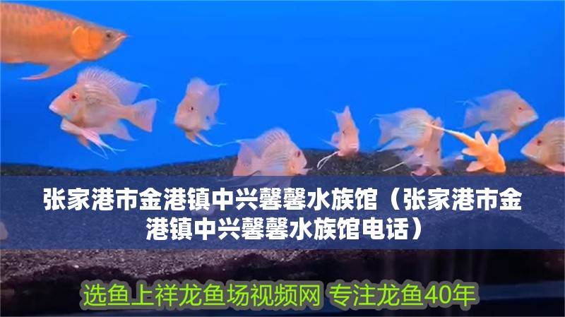 張家港市金港鎮中興馨馨水族館（張家港市金港鎮中興馨馨水族館電話）