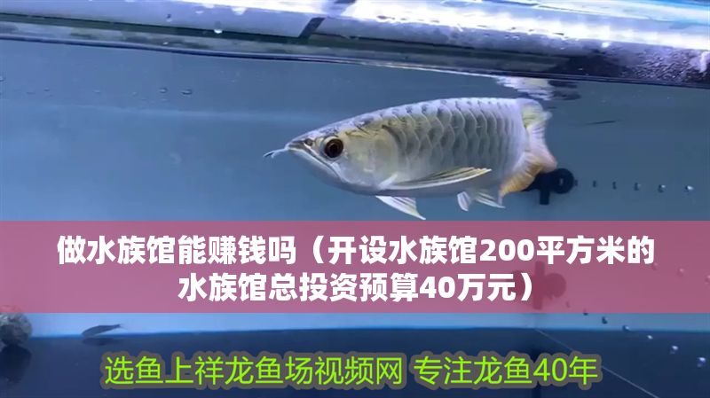 做水族館能賺錢嗎（開設(shè)水族館200平方米的水族館總投資預(yù)算40萬元）