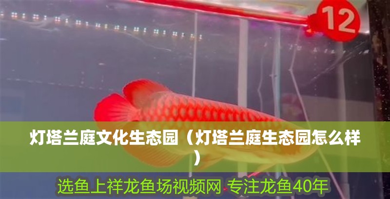 燈塔蘭庭文化生態園（燈塔蘭庭生態園怎么樣）