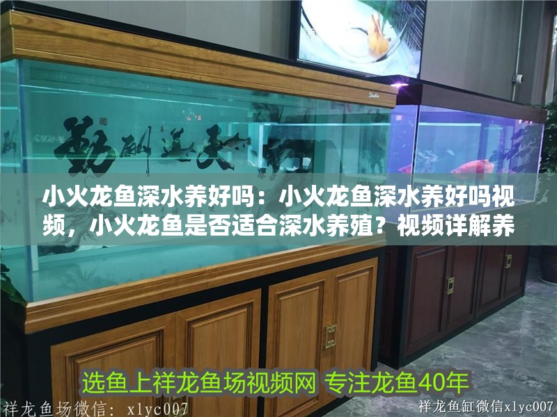 小火龍魚深水養好嗎：小火龍魚深水養好嗎視頻，小火龍魚是否適合深水養殖？視頻詳解養護要點