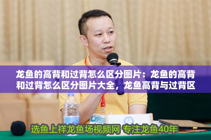 龍魚的高背和過背怎么區分圖片:龍魚的高背和過背怎么區分圖片大全,龍魚高背與過背區分全 水族問答 龍魚的高背和過背怎么區分圖片:龍魚的高背和過背怎么區分圖片大全,龍魚高背與過背區分全 龍魚的高背和過背怎么區分圖片:龍魚的高背和過背怎么區分圖片大全,龍魚高背與過背區分全 水族問答