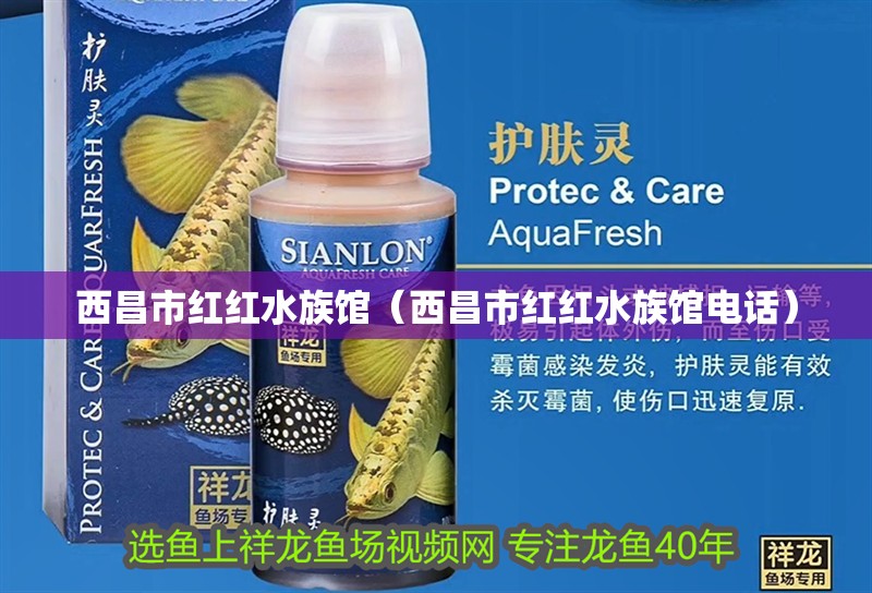 西昌市紅紅水族館（西昌市紅紅水族館電話） 西昌市紅紅水族館（西昌市紅紅水族館電話） 全國水族館企業名錄 第2張