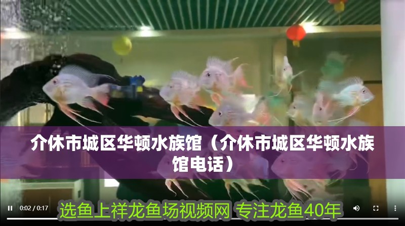 介休市城區華頓水族館（介休市城區華頓水族館電話） 介休市城區華頓水族館（介休市城區華頓水族館電話） 全國水族館企業名錄 第2張