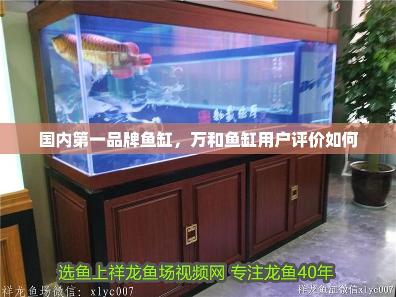 國內(nèi)第一品牌魚缸，萬和魚缸用戶評價如何