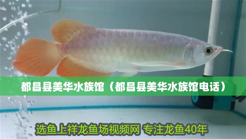 都昌縣美華水族館（都昌縣美華水族館電話） 都昌縣美華水族館（都昌縣美華水族館電話） 全國水族館企業名錄 第2張