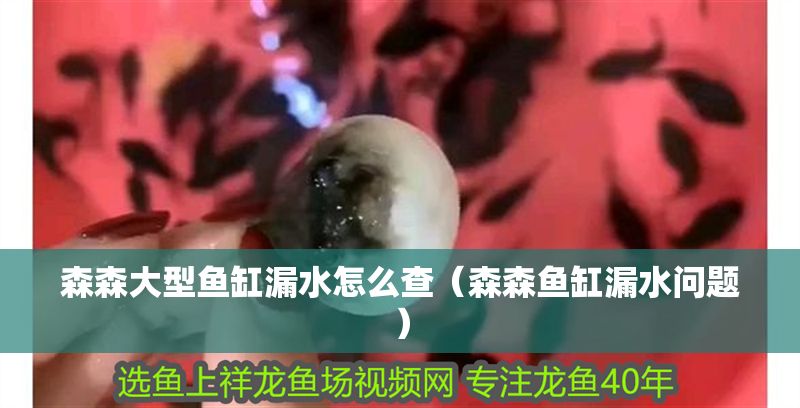 森森大型魚缸漏水怎么查（森森魚缸漏水問題）