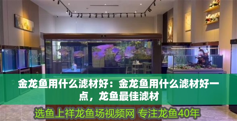 金龍魚用什么濾材好：金龍魚用什么濾材好一點，龍魚最佳濾材