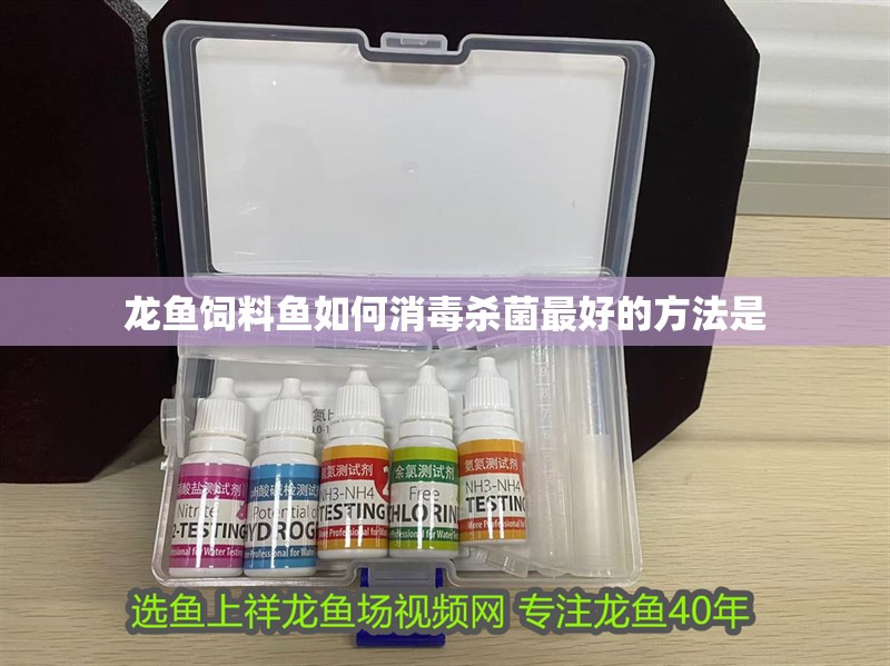 龍魚飼料魚如何消毒殺菌最好的方法是