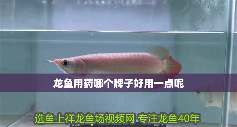 龍魚用藥哪個牌子好用一點呢