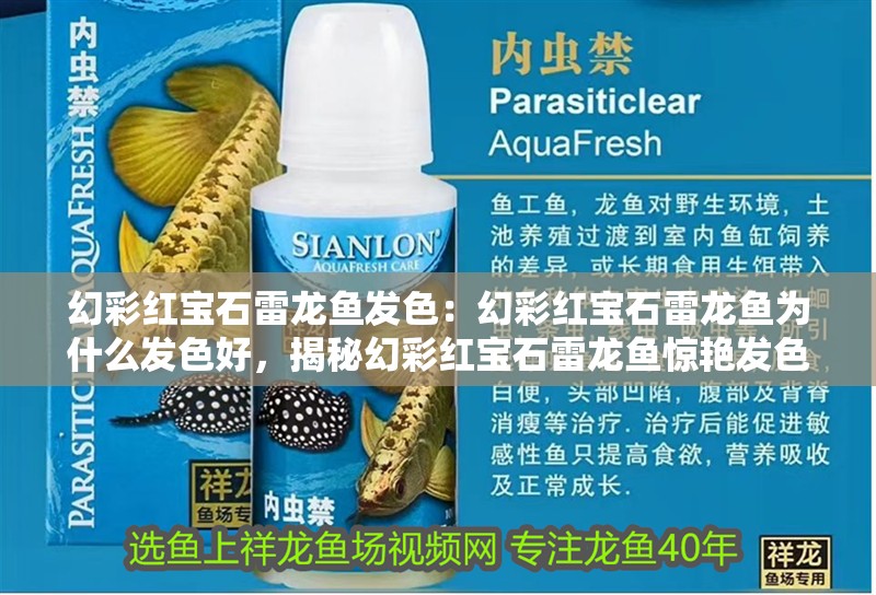 幻彩紅寶石雷龍魚發色：幻彩紅寶石雷龍魚為什么發色好，揭秘幻彩紅寶石雷龍魚驚艷發色的成因