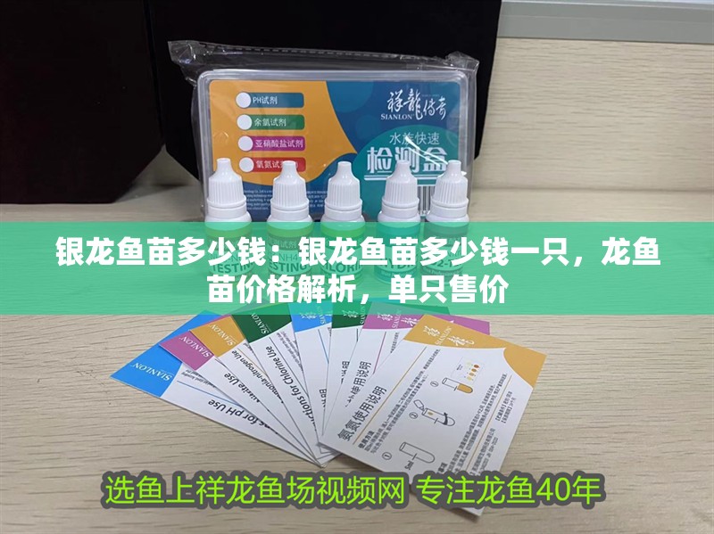 銀龍魚苗多少錢：銀龍魚苗多少錢一只，龍魚苗價格解析，單只售價