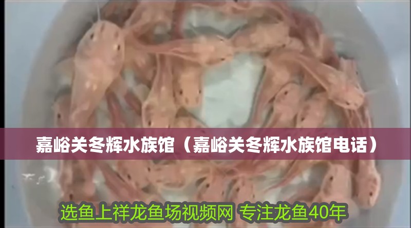 嘉峪關冬輝水族館(嘉峪關冬輝水族館電話) 全國水族館企業名錄 第2張 嘉峪關冬輝水族館(嘉峪關冬輝水族館電話) 嘉峪關冬輝水族館(嘉峪關冬輝水族館電話) 全國水族館企業名錄 第2張