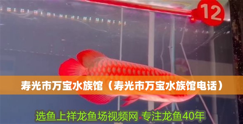 壽光市萬寶水族館(壽光市萬寶水族館電話) 全國水族館企業名錄 第2張 壽光市萬寶水族館(壽光市萬寶水族館電話) 壽光市萬寶水族館(壽光市萬寶水族館電話) 全國水族館企業名錄 第2張