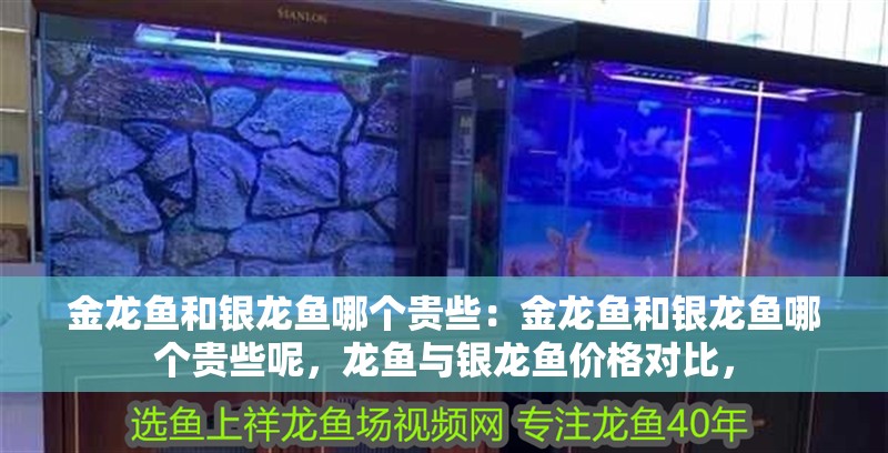 金龍魚和銀龍魚哪個貴些：金龍魚和銀龍魚哪個貴些呢，龍魚與銀龍魚價格對比，