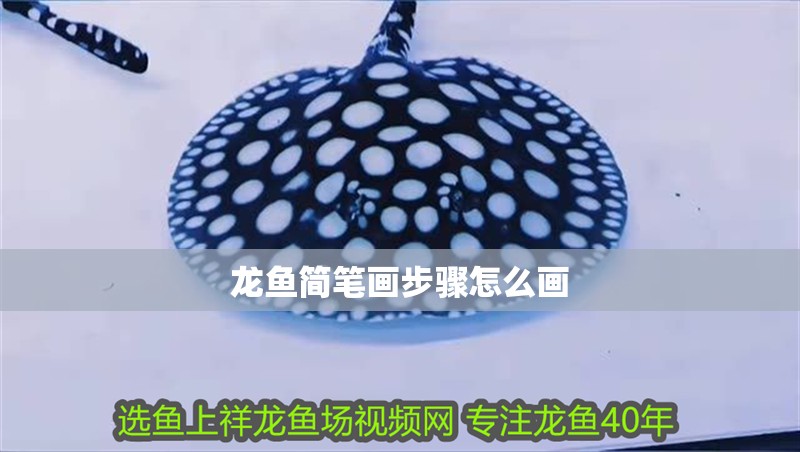 龍魚簡筆畫步驟怎么畫